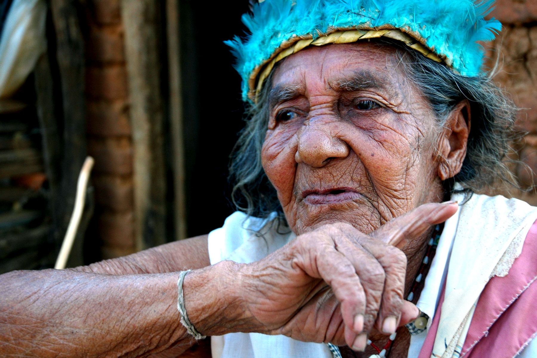 Profil einer indigenen Frau / Horizont3000 Profil einer indigenen Frau