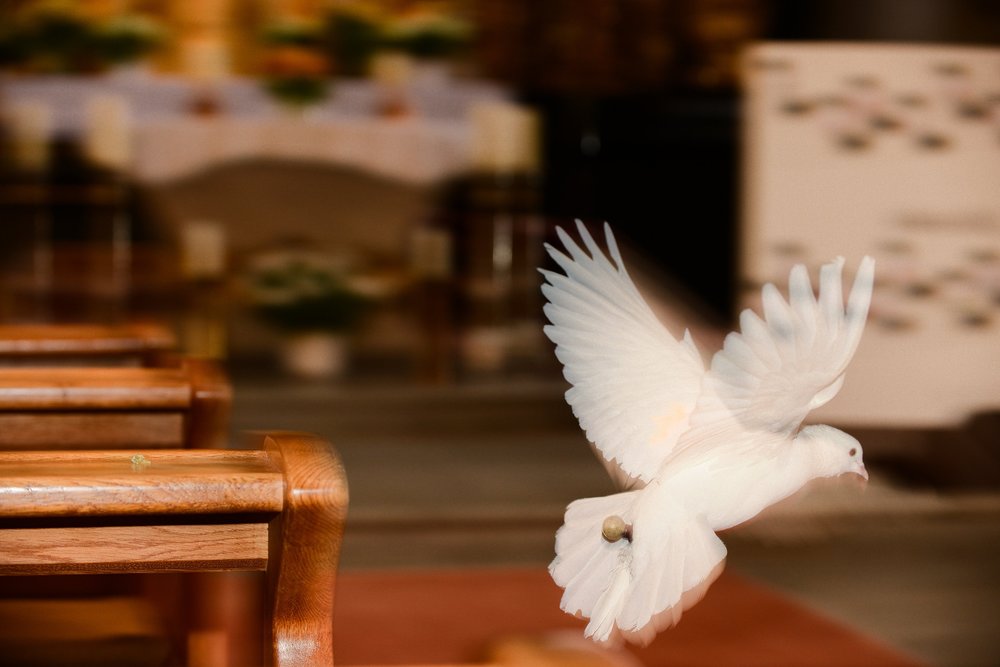 Taube in der Kirche / KNA/Harald Oppitz Letztes 'Weizer Pfingstereignis' steht unter dem Motto 'Neuer Morgen'