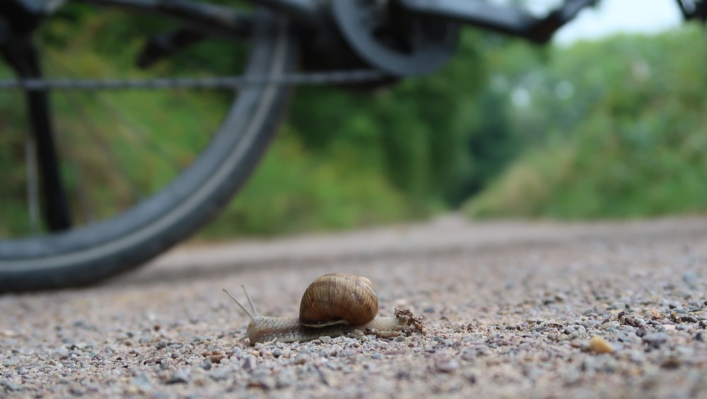 Sanfte Mobilität mit dem Fahrrad / Kathpress / Robert Mitscha-Eibl 'Nachhaltig unterwegs': Zivile Akteure für gemeinsamen Klima-Einsatz